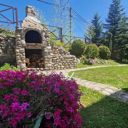 Chalet Mila Маврово Екстериор снимка