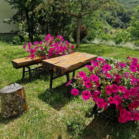Chalet Mila Маврово Екстериор снимка
